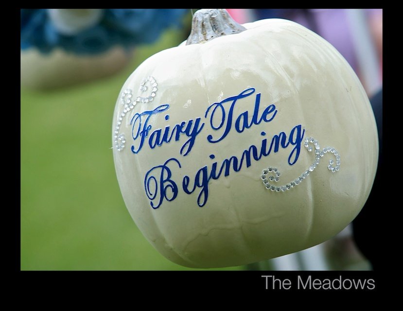 The Meadows 473